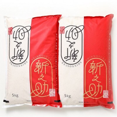 【毎月定期便】新潟県糸魚川産 新之助5kg×2袋　精米全6回