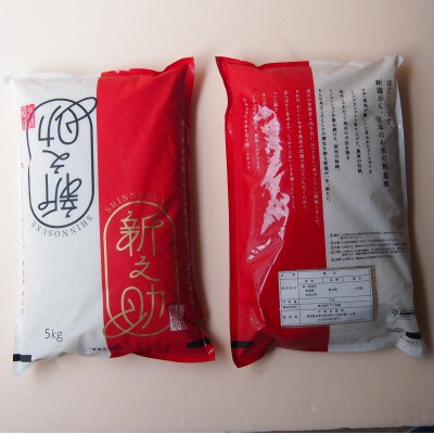 【毎月定期便】新潟県糸魚川産 新之助5kg×2袋　精米全6回