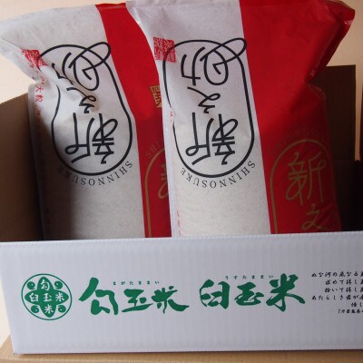 【毎月定期便】新潟県糸魚川産 新之助5kg×2袋　精米全6回
