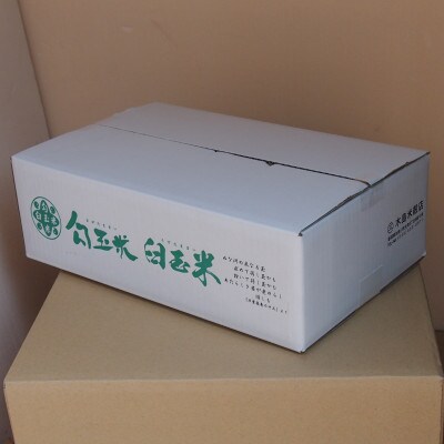【毎月定期便】新潟県糸魚川産 新之助5kg×2袋　精米全6回