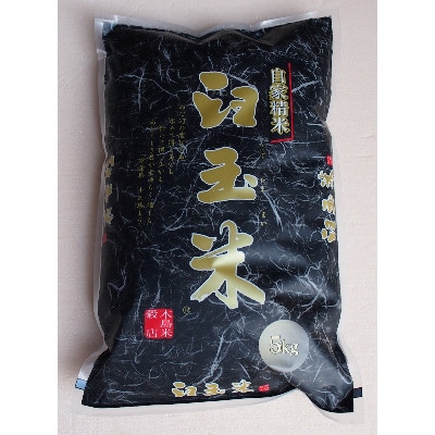 【毎月定期便】新潟県産こしいぶき『臼玉米』5kg全3回