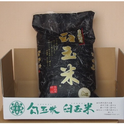 【毎月定期便】新潟県産こしいぶき『臼玉米』5kg全6回