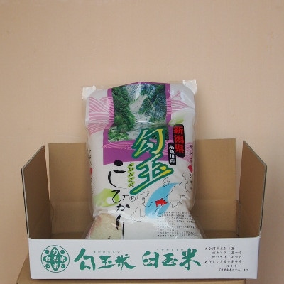 【毎月定期便】新潟県産コシヒカリ『勾玉米』5kg全3回