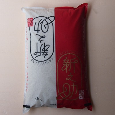 【毎月定期便】新潟県産 新之助 5kg全3回