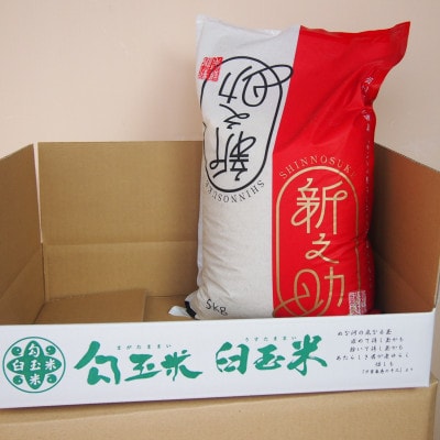 【毎月定期便】新潟県産 新之助 5kg全6回