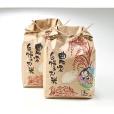 新潟県産 糸魚川産 令和5年産 コシヒカリ 100% 精米 3kg×2