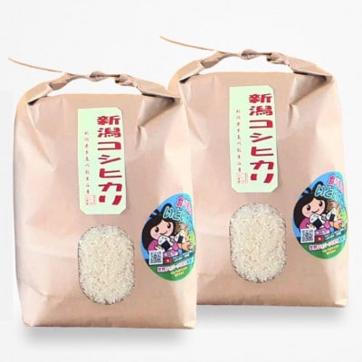 新潟県産 糸魚川産令和6年産 コシヒカリ 100% 精米 3kg×2