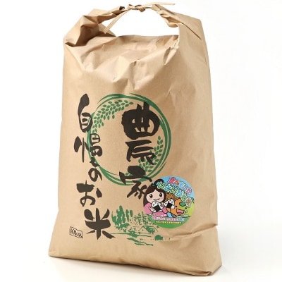 新潟県産 糸魚川産令和6年産 コシヒカリ 100% 精米 10kg