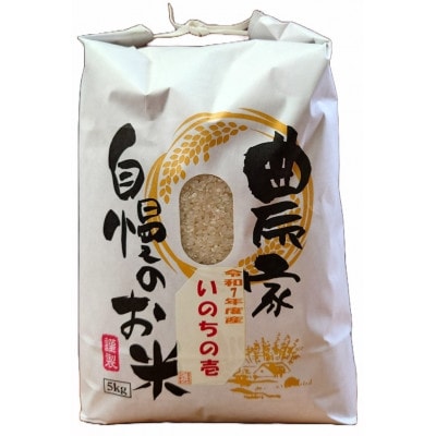 新潟県産 糸魚川産  令和7年産 いのちの壱 100% 精米 5kg 新米