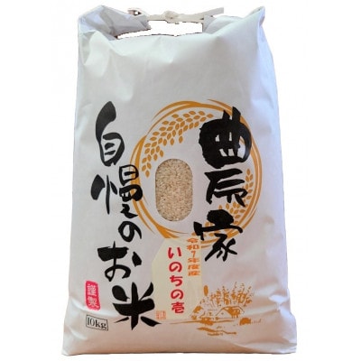 新潟県産 糸魚川産  令和7年産 いのちの壱 100% 精米 10kg 新米