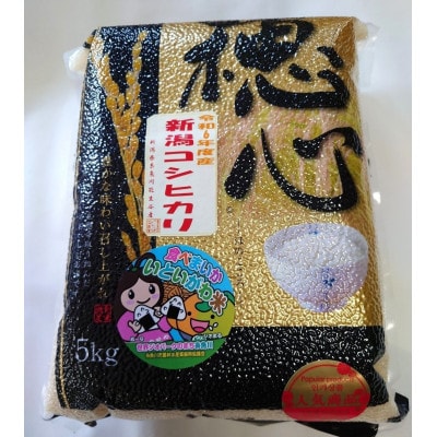 【真空パック】新潟県産 糸魚川産 新米 令和6年産 コシヒカリ 100% 精米 5kg