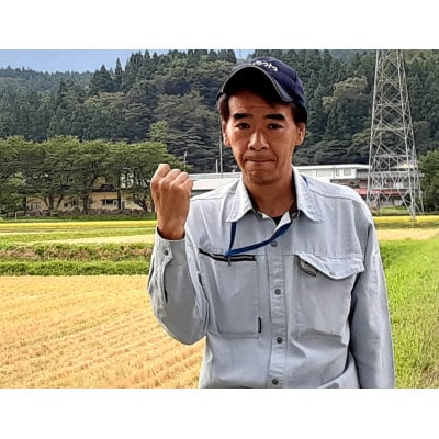 【真空パック】新潟県産 糸魚川産 新米 令和6年産 コシヒカリ 100% 精米 5kg