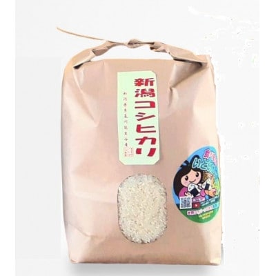 新潟県産 糸魚川産令和7年産 コシヒカリ 100% 精米 3kg 新米