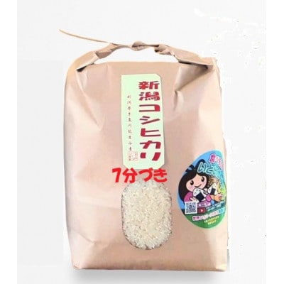新潟県産 糸魚川産令和7年産 コシヒカリ 100% 精米 3kg 7分づき 新米