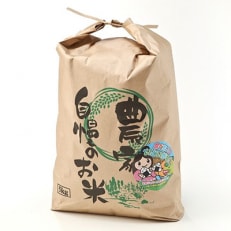 【毎月定期便】新潟県産 糸魚川産 コシヒカリ 100% 精米 5kg全6回