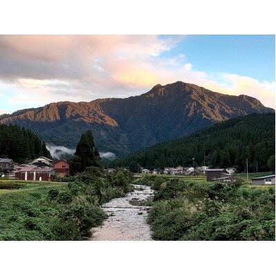 【毎月定期便】新潟県産 糸魚川産 コシヒカリ 100% 精米 10kg全6回