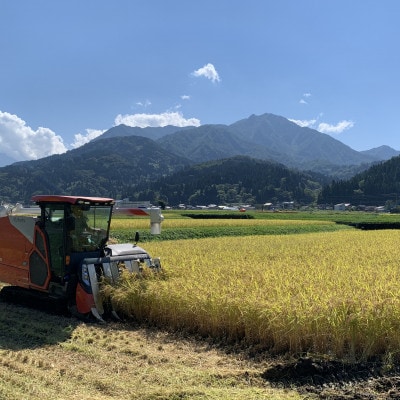 令和3年産　こしいぶき10kg(5kg×2袋)