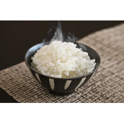 令和5年産 能生米コシヒカリ 5kg 白米