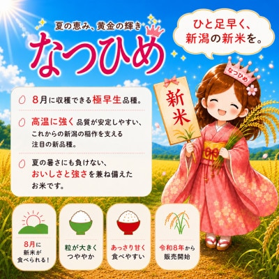 【令和8年産】新潟県糸魚川市能生谷産 なつひめ 　精米　5kg 新潟の新品種
