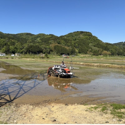 【令和8年産】なつひめ  精米 10kg(5kg×2袋) 新潟県糸魚川市能生谷産　新潟の新品種