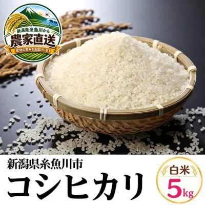 【令和8年産】能生米コシヒカリ 5kg　白米　新潟県糸魚川市能生谷産