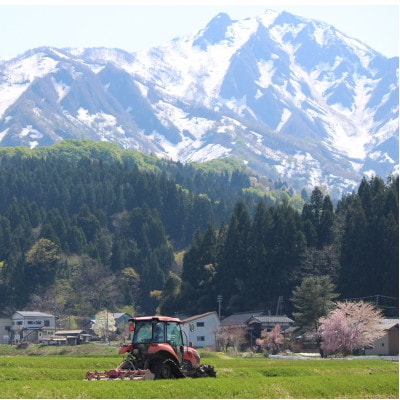 【令和8年産】能生米コシヒカリ 5kg　白米　新潟県糸魚川市能生谷産
