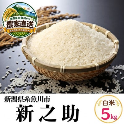 【令和8年産】新之助　5kg　白米　新潟県糸魚川市能生谷産