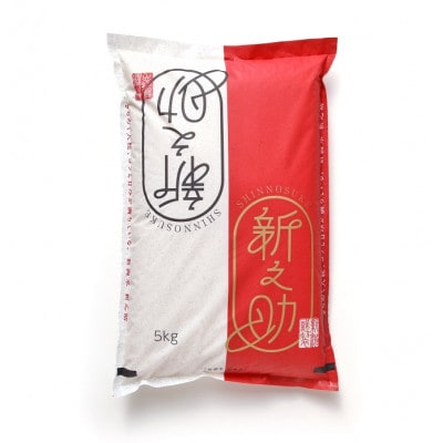 【令和8年産】新之助　5kg　白米　新潟県糸魚川市能生谷産