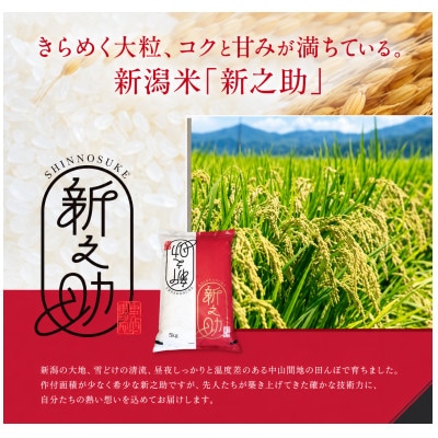 【令和8年産】新之助　5kg　白米　新潟県糸魚川市能生谷産