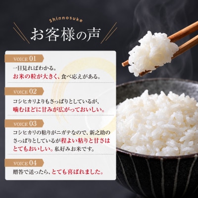 【令和8年産】新之助　5kg　白米　新潟県糸魚川市能生谷産