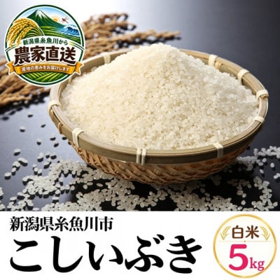 【令和8年産】こしいぶき　5kg　白米　新潟県糸魚川市能生谷産