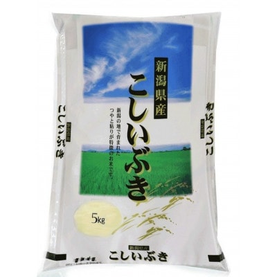 【令和8年産】こしいぶき　5kg　白米　新潟県糸魚川市能生谷産