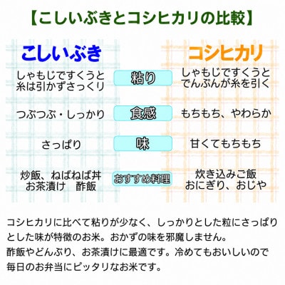 【令和8年産】こしいぶき　5kg　白米　新潟県糸魚川市能生谷産