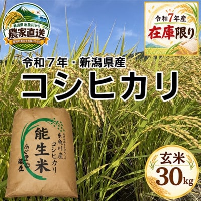 【令和7年産】コシヒカリ　玄米30kg　新潟県糸魚川市能生谷産　在庫整理