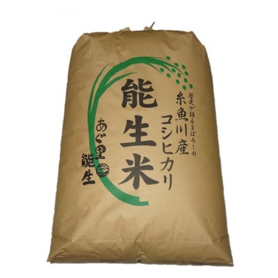 【令和7年産】コシヒカリ　玄米30kg　新潟県糸魚川市能生谷産　在庫整理