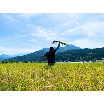 2023年1月発送開始『定期便』こしいぶき10kg(5kg×2袋)全6回