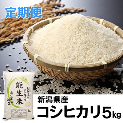 2023年1月発送開始『定期便』能生米コシヒカリ　白米5kg全6回