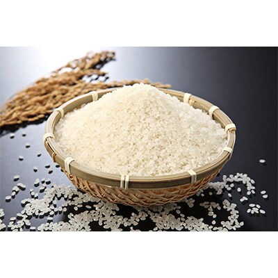 2023年1月発送開始『定期便』能生米コシヒカリ　白米5kg全6回