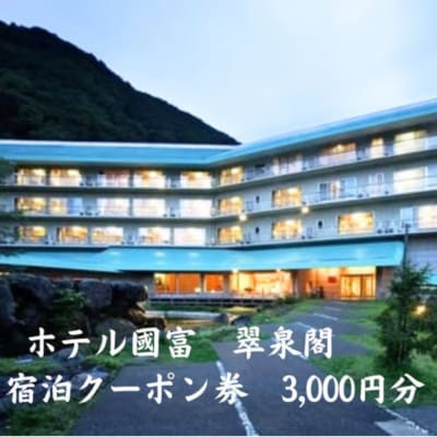 ホテル国富 翠泉閣 宿泊クーポン券 3,000円分【新潟県 糸魚川市 温泉 源泉かけ流し 】
