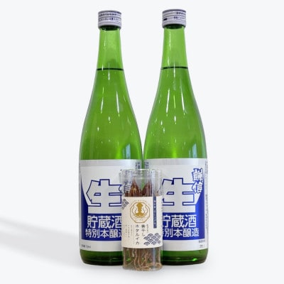 糸魚川地酒 謙信 特別本醸造生貯蔵酒 720ml×2本 お酒と相性抜群の素干しホタルイカ付き!