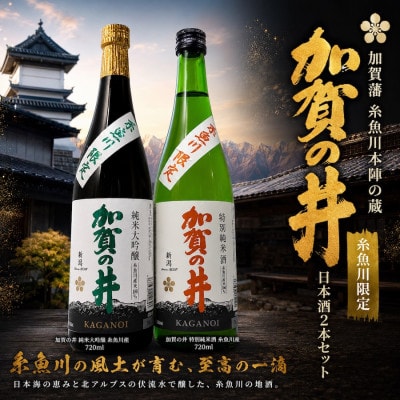 加賀の井 純米大吟醸と特別純米酒 糸魚川産の2本セット(720ml×2本)
