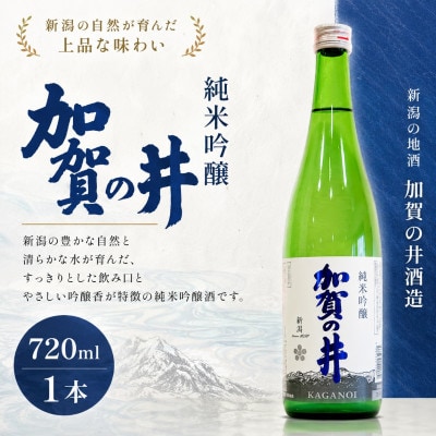 糸魚川地酒 加賀の井 純米吟醸 720ml×1本