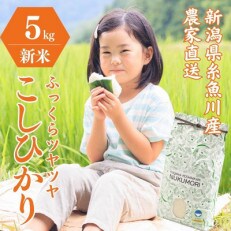 令和5年産新米 新潟県産コシヒカリ 5kg NUKUMORI 白米 特別栽培米 2023 農家直送