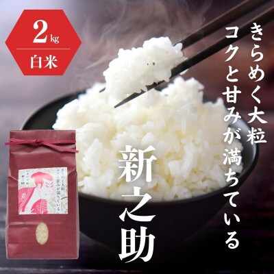 令和5年産 農家直送『新之助』2kg 新潟県糸魚川産 白米 新潟の新しいブランド米