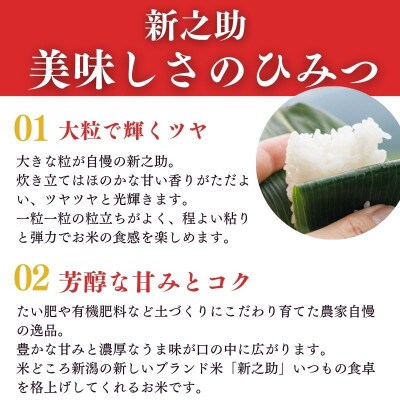 令和5年産 農家直送『新之助』2kg 新潟県糸魚川産 白米 新潟の新しいブランド米