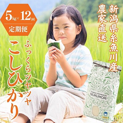 【毎月定期便】新潟県産コシヒカリ5kg NUKUMORI 農家直送 白米特別栽培米  糸魚川全12回