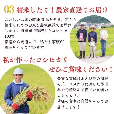 【毎月定期便】新潟県産コシヒカリ5kg NUKUMORI 農家直送 白米特別栽培米  糸魚川全12回
