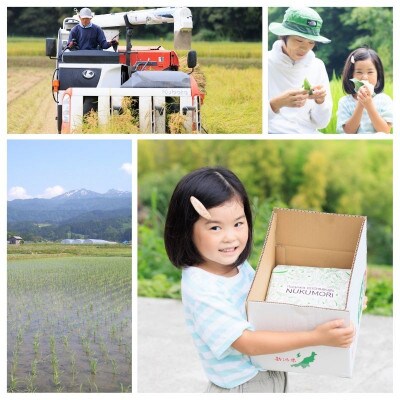 【毎月定期便】新潟県産コシヒカリ5kg NUKUMORI 農家直送 白米特別栽培米  糸魚川全12回