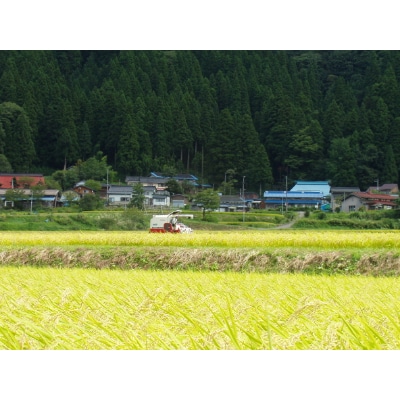 新潟県糸魚川産コシヒカリ　ひすい営農センター厳選米「ひすいの里」10kg