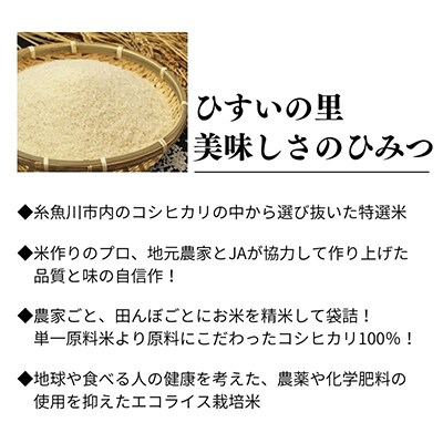 【毎月定期便】新潟県糸魚川産コシヒカリ 5kg 農家自慢の特選米『ひすいの里』全6回